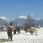 Apartments-rooms Kocijancic Casa de hóspedes Bled