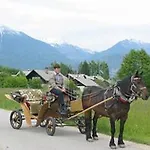 Apartments-rooms Kocijancic Casa de hóspedes 3*