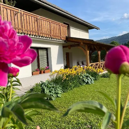 Hiša za goste Apartments-rooms Kocijancic 3*