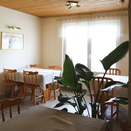 Guest house Apartments-rooms Kocijancic