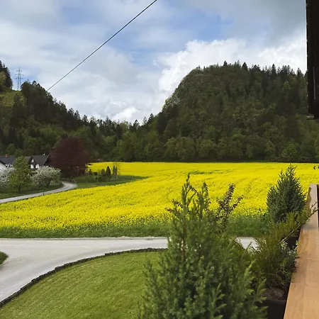 Apartments-rooms Kocijancic 3*