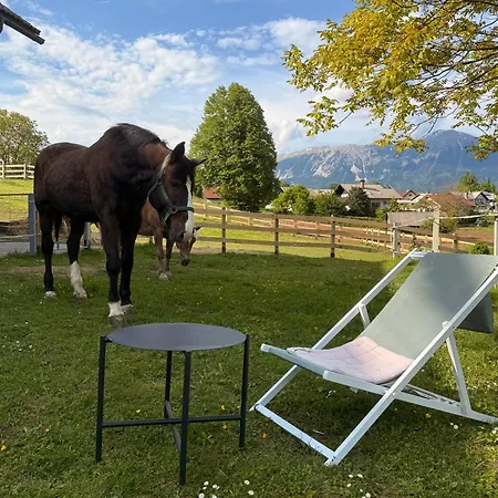 Apartments-rooms Kocijancic Bled