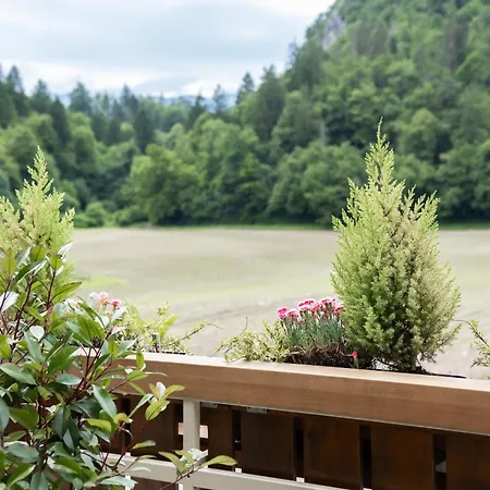 Apartments-rooms Kocijancic Pensionat 3*