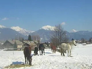 Apartments-rooms Kocijancic Pensionat Bled