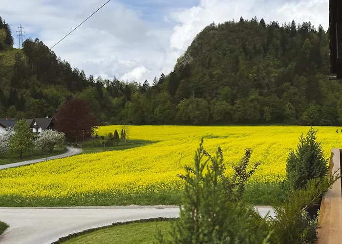 Apartments-rooms Kocijancic 3*