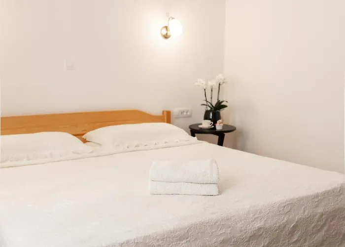 ゲストハウス Apartments-rooms Kocijancic