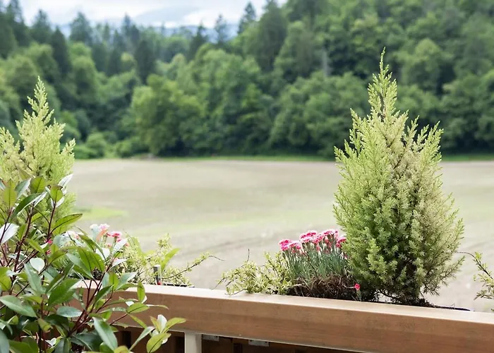 Apartments-rooms Kocijancic Hiša za goste 3*