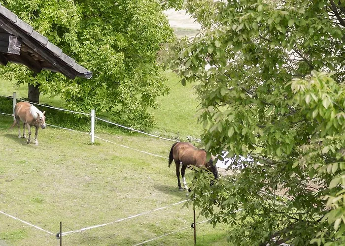 Apartments-rooms Kocijancic Πανσιόν Μπλεντ