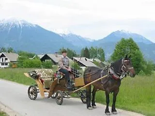 Apartments-rooms Kocijancic Πανσιόν 3*